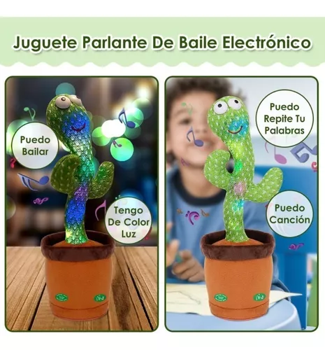 Cómo Elegir el Mejor Cactus Bailarín en Español Para Regalo + Cómo