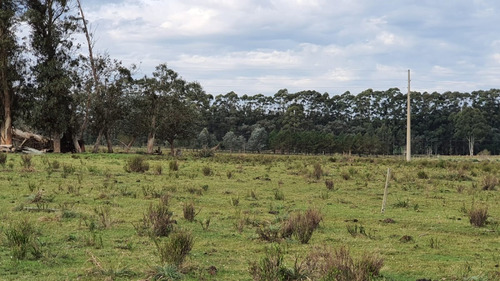 Inversión Asegurada En Las Garzas Rocha- Ref: 1097