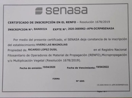 Mandarina Encore. Vivero Habilitado Senasa.