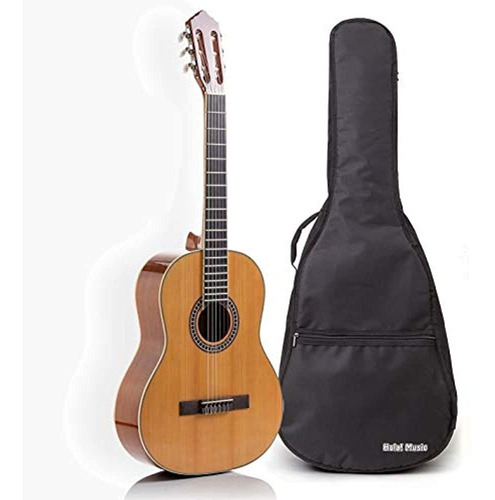 Hola Guitarra Acustica Dreadnought De Lujo Hg41 Tamaño Com