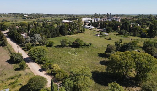 Imagen 2 de 14 de Terreno De 1.000 En Zona De Quintas, A Pocos Metros De Ruta 26