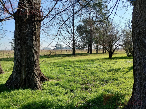 Campo En Venta En Villa Espil, San Andrés De Giles