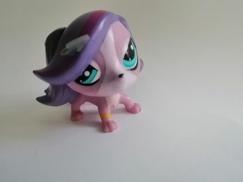 Littlest Pet Shop Hasbro Zoe Trent Cocker Spaniel Dog 