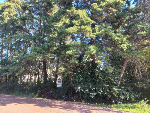 Imagen 8 de 10 de Lote En Zona Plumas Verdes, Luján