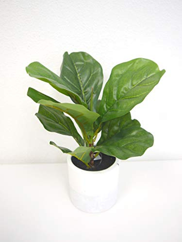Real Touch Fiddle Leaf Tabletop With Ceramic Pot Apx 12 PuLG