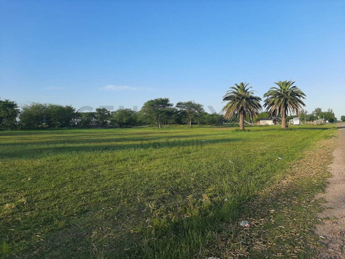 Imagen 2 de 7 de Lote - Terreno - 1930 M2 - Luis Palacios