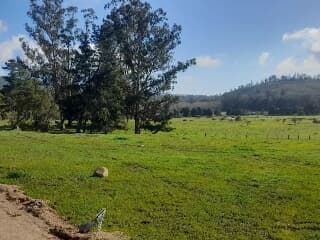 Parcelas A 8 Minutos Del Lago Vichuquén, Financiamiento
