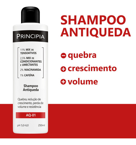 Shampoo Antiqueda Aq-01 Principia
