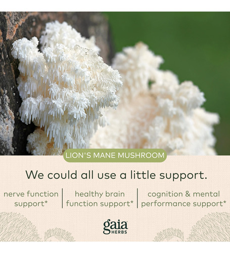 Suplemento Gaia Herbs Lions Mane Mushroom 40 Cápsulas