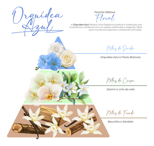 Kit Revenda Difusor Aromatizador De Orquídea Azul