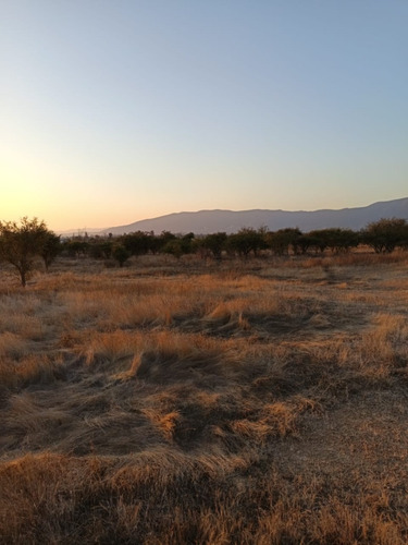 Se Vende Parcela 3,4 Hectáreas Con Derechos De Agua, Limache