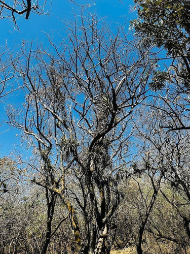 Venta Terreno Comunal Tepoztlan Morelos