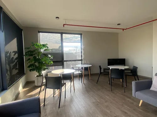 Departamentos Nuevos En Arriendo/providencia