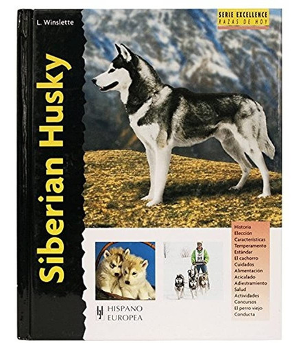 Siberian Husky / Excellence