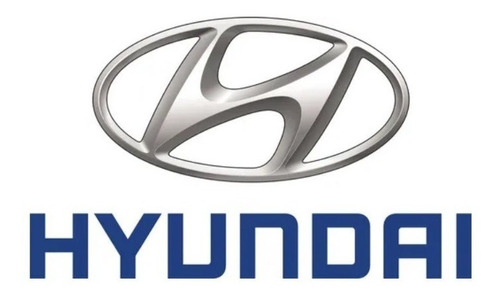 Flauta C/ 4 Bicos Injetores Hyundai Tucson 2.0 16v Original.