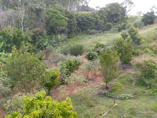 Imagem 19 de 20 de Oportunidade Chacara Em Ibiuna 1.500 Mts Casa,piscina E Chur