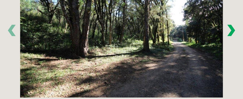 Imagem 4 de 15 de Terreno/loteamento À Venda Por R$ 440.000,00 - Quatro Barras / Pr - T 2057