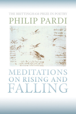 Libro Meditations On Rising And Falling: Meditations On R...