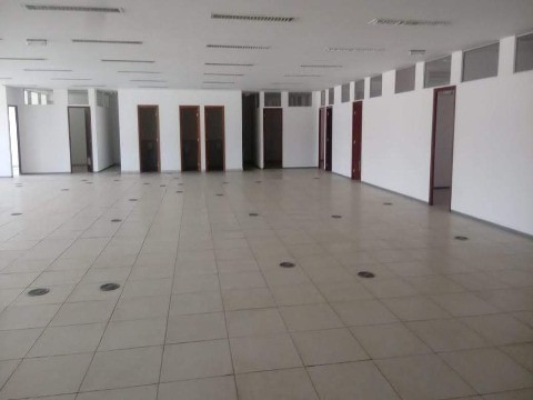 Imagem 14 de 30 de Locação Predio Comercial Campinas Bairro Cambui - Pr00067 - 1998153