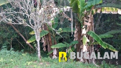 Imagem 3 de 3 de Chácara A Venda Na Ressaca - 2730-a