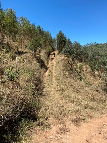 Imagem 12 de 14 de 7a Igaratá Terrenos