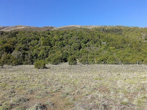 Imagen 3 de 5 de Lote En Villa Quilquihue, Lago Lolog