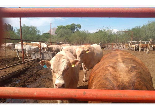 Finca-rancho En Venta En La Goma, Lerdo, Durango