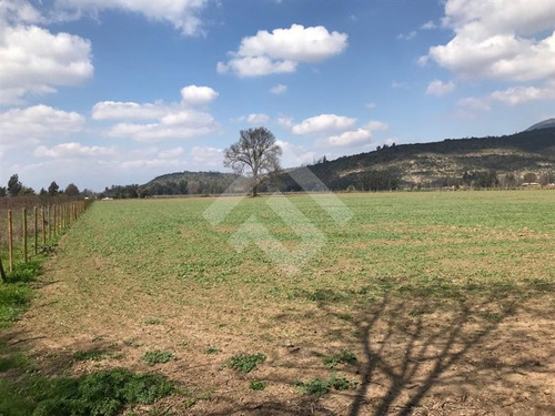Imagen 5 de 27 de Parcela Agrícola En Venta En Paine