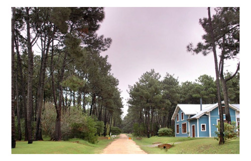 Imagen 12 de 18 de Terreno En Venta En Laguna Blanca