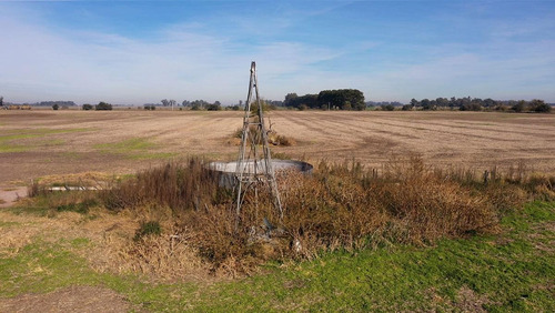 Imagen 3 de 4 de Campo Mixto De 60 Has A La Venta En Navarro