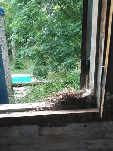 Se Vende Quinta En Desvio Arijón