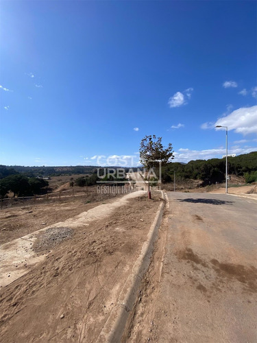 Inigualable Plusvalía A 6 Kms De Concón