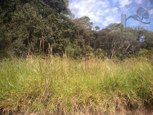 Imagem 3 de 4 de Còd 3496 - 1.142 M² Com Ótima Topografia - 3496