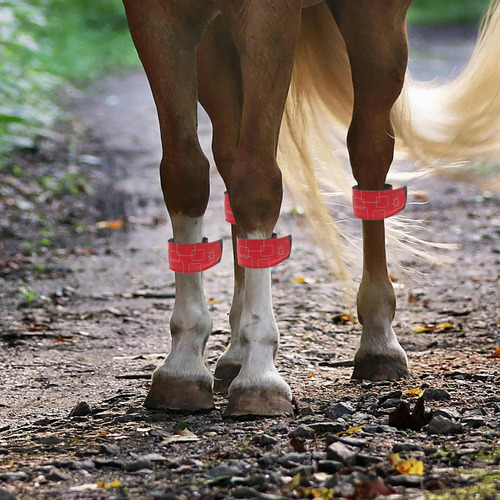 4 Tobilleras Led Para Caballos, Ajustables, De Alto Brillo