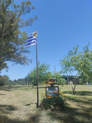 Imagen 26 de 30 de Libre A Partir Del 7/4. Parque Infantil. A 1km De La Pedrera