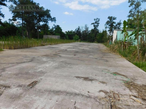Imagen 7 de 8 de Terreno En Venta En Tigre
