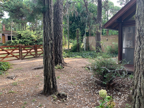 Complejo De Cabañas En El Pinar La Lucila Del Mar
