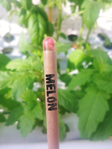 Lápiz Con Semilla Ecológico Instructivo Tipo A+nombre 100 Pz