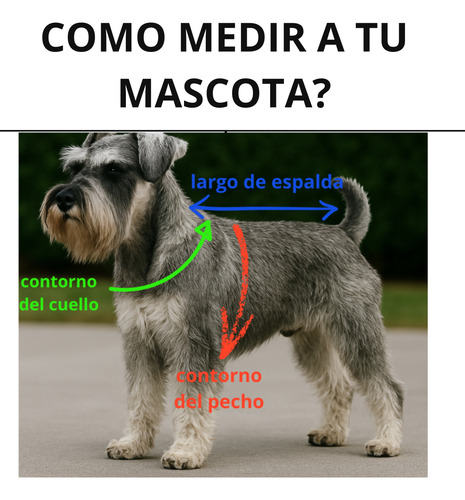 Poncho Polar Chaleco Estampado Perros Ropa Invierno Abrigo Talle 6 --- Perritos