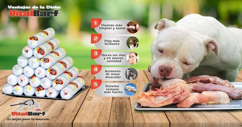 Alimento Natural Para Perro Dieta Barf 10% De Descuento