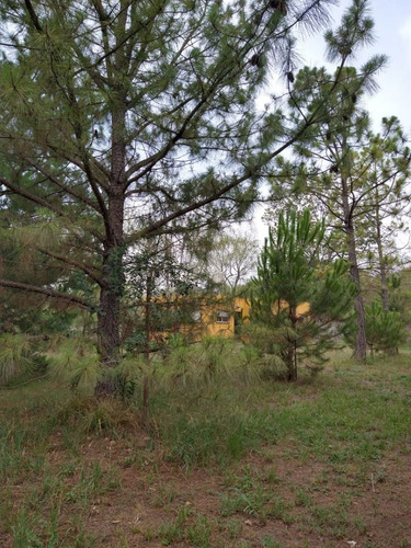 Imagen 8 de 18 de Espectacular Casa Quinta Ubicada En Virrey Del Pino, Partido De La Matanza. Superficie De 5.013m2