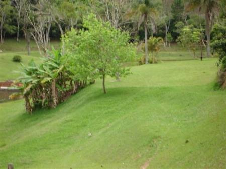 Lindo Sitio Rico Em Agua Em Juquitiba-sp