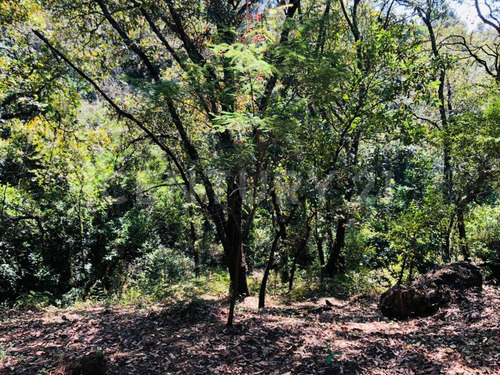 Terreno Venta Cocuatla Tepoztlan San Juan Tlacotenco Ocotes Tepoztlan Morelos