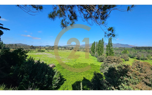 En Venta Terreno 2.9 Ha, Confluencia, Quillón