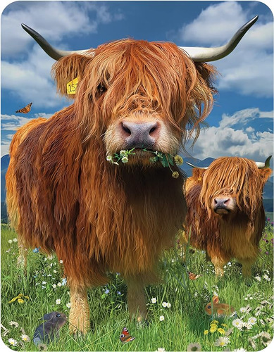 Iman 3d Livelife Highland Cattle Iman Lenticular Vaca 3d Par
