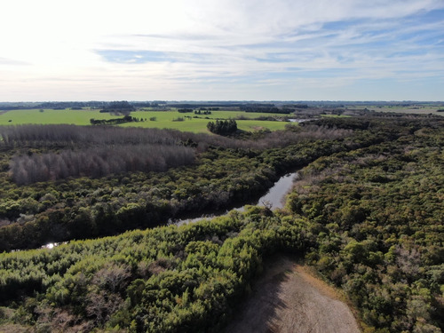 Imagen 5 de 10 de Campo En Venta Sobre Ruta Y Arroyo Navegable