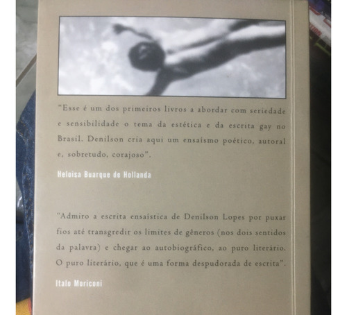 O Homem Que Amava Rapazes E Outros Ensaios- Denilson Lopes