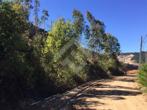 Imagen 3 de 6 de Sitio En Venta En Chiguayante Espectacular Vista