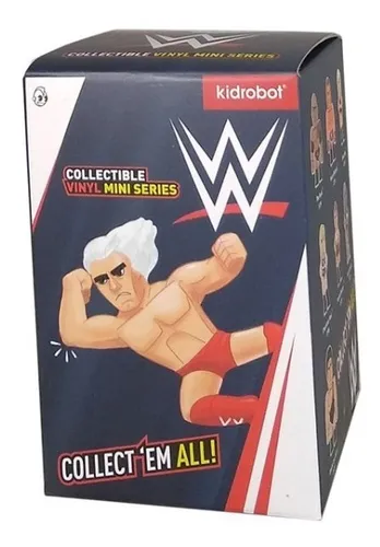 Wwe kidrobot sales