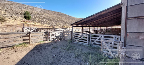 Campo Estancia En Venta De 5300 Has En Patagonia Bariloche.